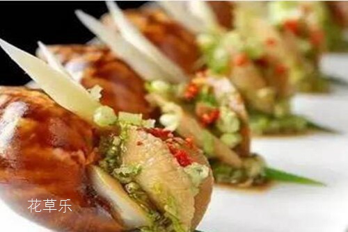 产品展示亚洲1区二区公司名称专业专注，精益求精