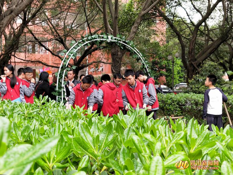 镜头上的数字是意思——欧洲人妻丰满av无码久久不卡，解码摄影艺术的秘密语言